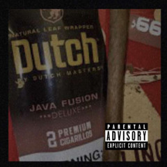 Dutch x Roach