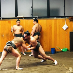 Review Top Tokyo Sumo Morning Practice Tour at Stable