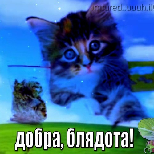 ШАЛАВЫ ДОМА 2 