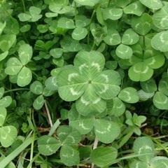 @nine  ‎ ‎ ‎ ‎ ‎ ‎ ‎ ‎ ‎ ‎ ‎ ‎‎ ‎ ‎ ‎ ‎ shit whatever (ivvys, maaj)