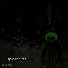 spider bites