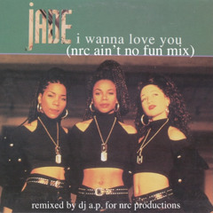 I Wanna Love You (NRC Ain't No Fun Mix)
