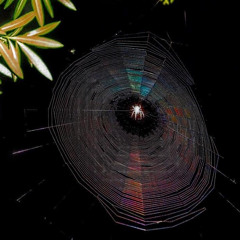 youre-notalone inthose thoughts(prod.farber)