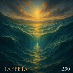 TAFFETA | 250