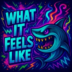 What It Feels Like