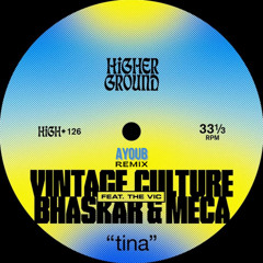 Vintage Culture, Bhaskar & Meca - Tina (feat The Vic) Ayoub Remix