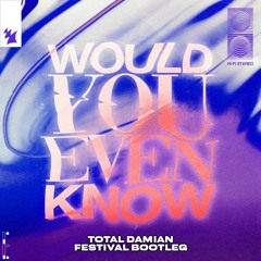 Audien & William Black feat. Tia Tia - Would You Even Know (Total Damian Festival Bootleg)