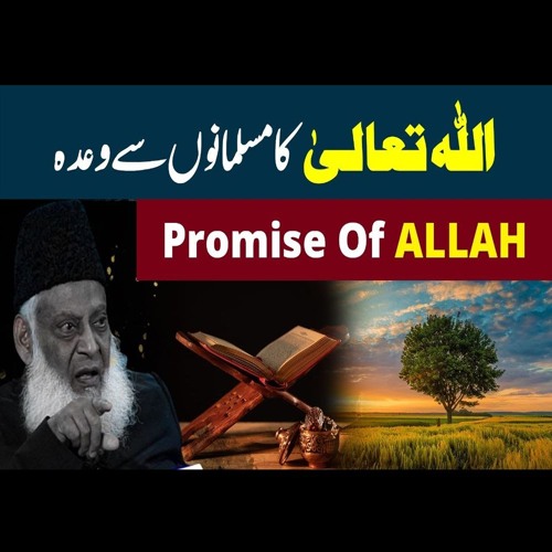 Stream Promise Of ALLAH | The Way Of Success | Eye Opening Clip By Dr ...