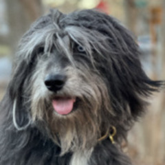 Temptation New Order Edit