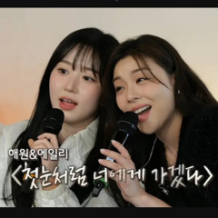 엔믹스 해원&에일리-첫눈처럼 너에게 가겠다(Nmixx Haewon cover.)