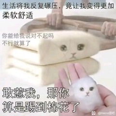 現在心行形  知声