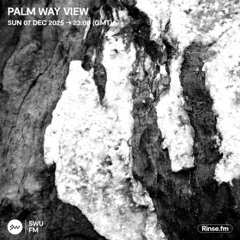 Palm Way View - 07 December 2025