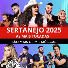 SERTANEJO 2024/2025 (DOWNLOAD / BAIXE MIL MÚSICAS SERTANEJA)