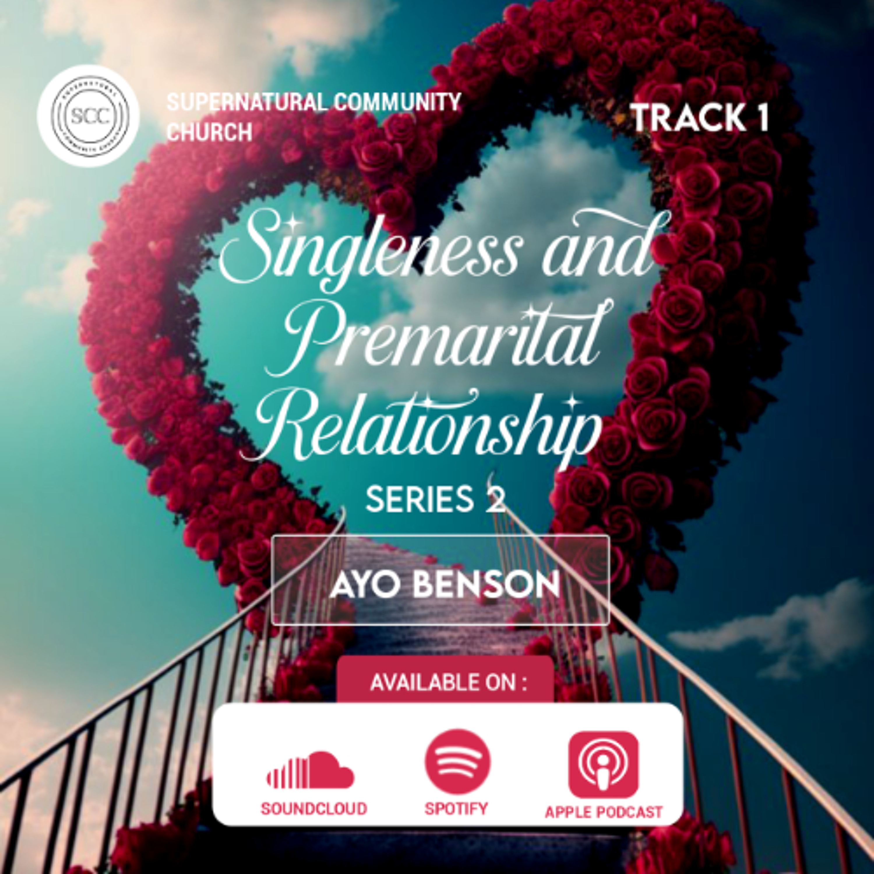 Singleness and Premarital Relationship Series 2 (1)