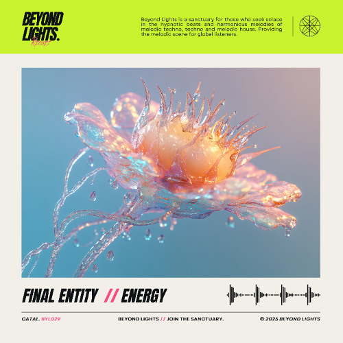 Final Entity - Energy