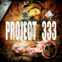 project_333