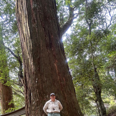oh longing mind- Sri Ramakrishna and o 🎶