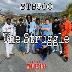 STB500 - The Struggle