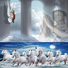 НЕБЕСА #HEAVEN #ЯПРОЩАЮОППОВ