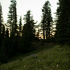 불안정한 감정이 사랑이었나