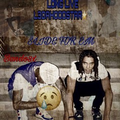 LL L3DAHOODSTAR (slide for em)