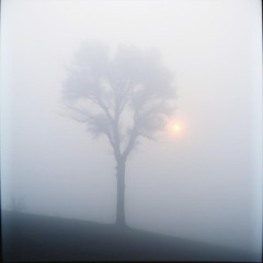 Hüzünlü Gurbet ( Türkü )