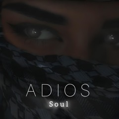 Adios