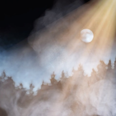 Landscapes