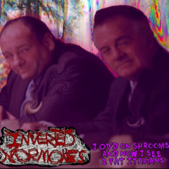 Inverted Hormones - I OD'd on Shrooms and now I see 2 Fat Italians (Goregrind)