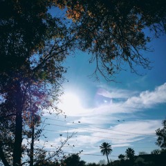 As Leaves Fall [DEMO]