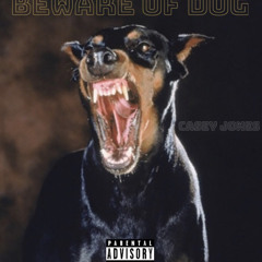 BewareOfDog   [prod. ViruzVolumez]