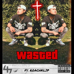 WASTED ft. Roachklip