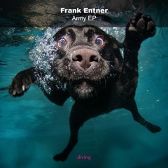Army EP - diving