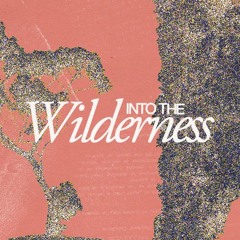 Into The Wilderness: Finding God In The Wilderness
