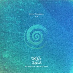 Jungle Ritual 009 ꩜ Unter Wasser mit ZIJN | live @ Concrete Jungle Retreat