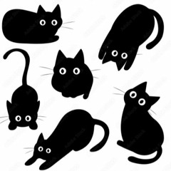 고양이 파티 (猫パーティー)