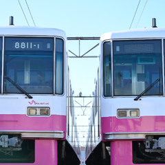 ハルジオンが咲くころ、あなたは居ない
