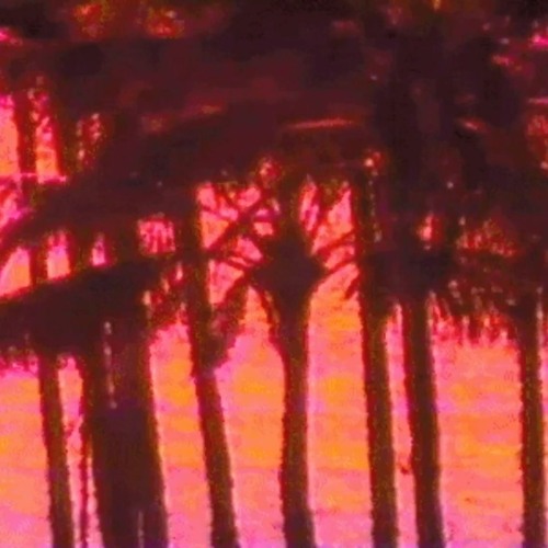 sunset wind (prod. Brush)