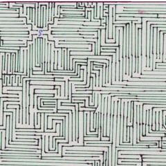 labyrinth