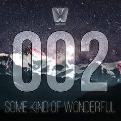 Some Kind Of Wonderful 002