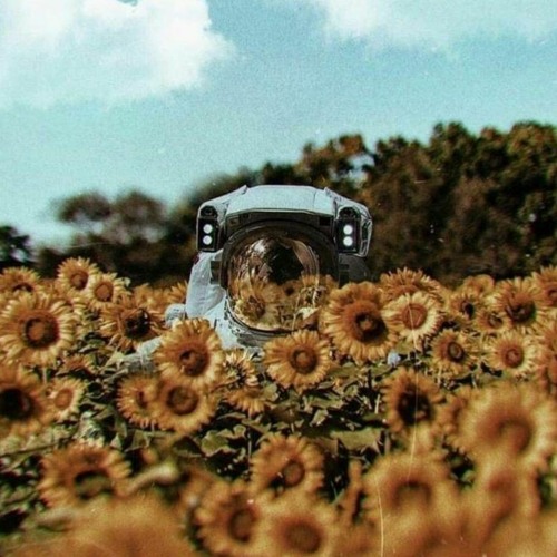 ๐ฆ๐ฃ๐ฅ๐๐ก๐๐ ๐ข๐ข๐ ๐ฎ๐ฌ๐ฎ๐ฌ