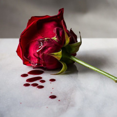 Fullah Dollahs - Talk The Talk