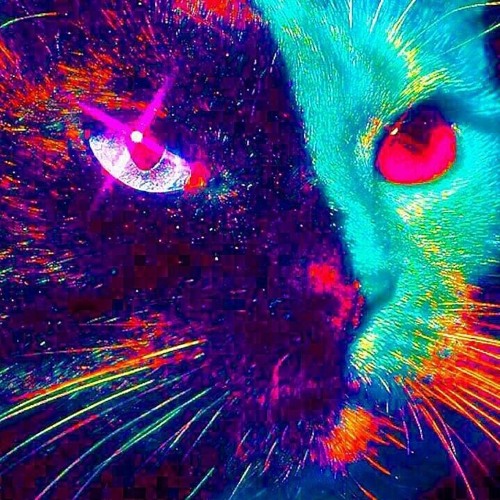 Сдохнуть бы где-то ещё! (парт)