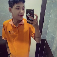 VietMix.ND2