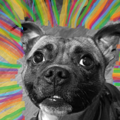 Pure Joy - better mix 1