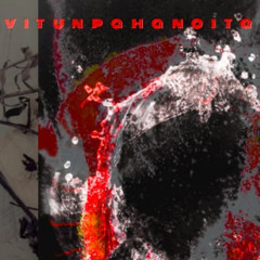 vpnp - tiimalasi