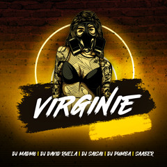 Virginie (feat. DJ David Ruela, DJ Pumba, DJ Sai Sai & Saaber)