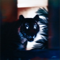 TIME IS MONEY (prod. 9cyon)