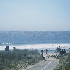 maple trees and small things