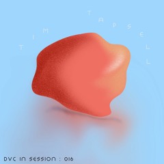 DVC IN SESSION 016: TIM TAPSELL